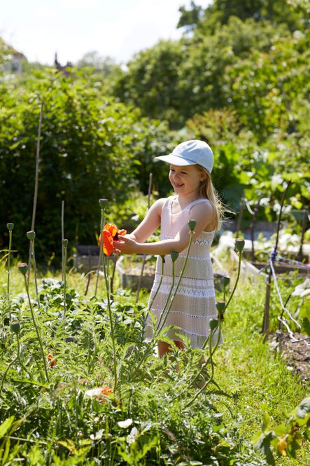 Hovedbilde Petrinekjole i Rauma Pandora (lys rosa/beige) | Strikkepakke