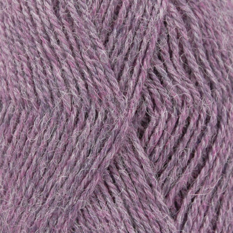 Alpaca