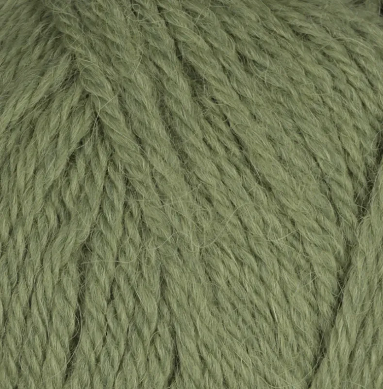 Alpaca Storm